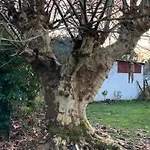 Daire La Grange De Pardies Classe 2 Etoiles Orthevielle