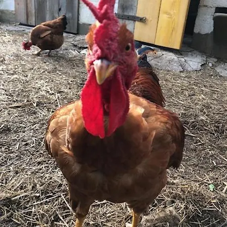 La Grange De Pardies Διαμέρισμα *