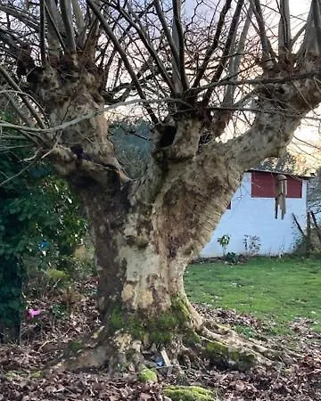 Διαμέρισμα La Grange De Pardies Orthevielle