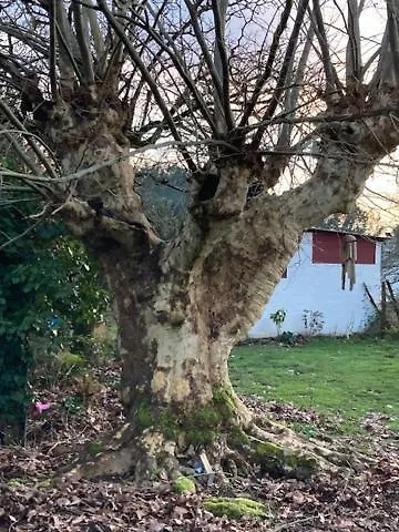 Apartmán La Grange De Pardies Classe 2 Etoiles Orthevielle